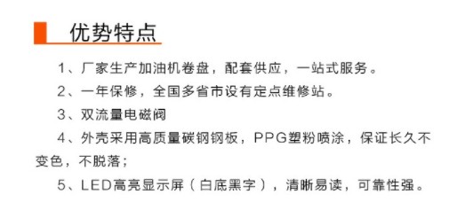 长稳牌带泵24V车载加油机