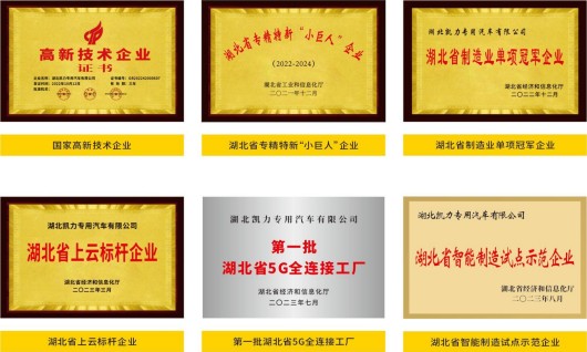 企业荣誉